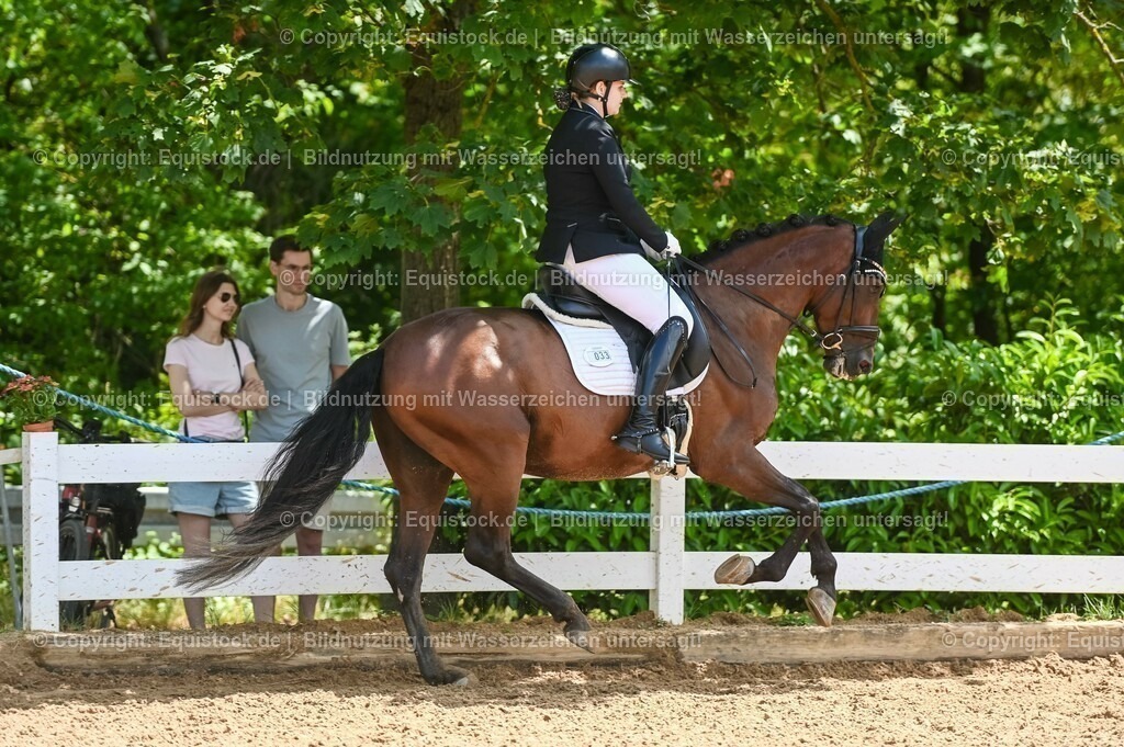 20230716_03_Dressurprfg. Kl.L - Tr._0124 | equistock