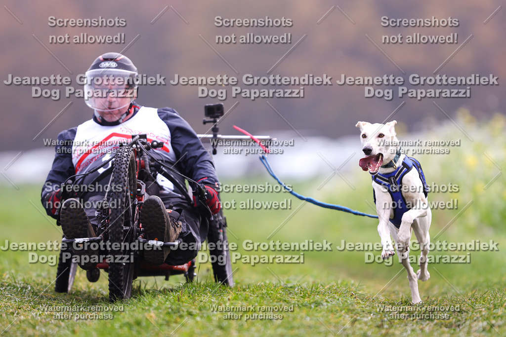 Dog Paparazzi - Visbeck 25 -296 | Dog Paparazzi Jeanette Grottendiek Fotografie & Videografie - Realisiert mit Pictrs.com
