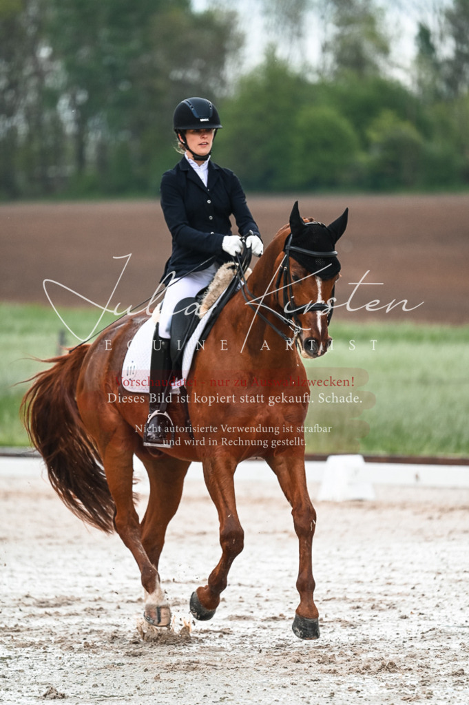 DSC_4253 | Pferde- und Turnierfotografie in Westsachsen. Pferdeportraits, Auftragszeichnungen und intuitive Kunst.