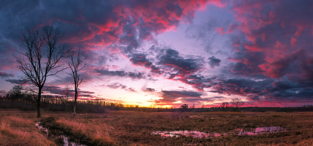 Glühender Himmel über dem Ried | Glühender Abendhimmel über dem Ried am Oberrhein - Realisiert mit Pictrs.com
