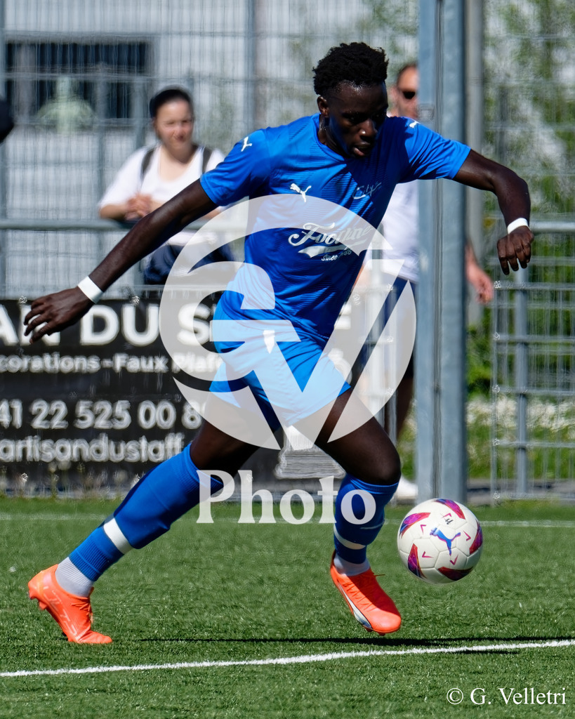 DSC_3273 | Velletri Photo