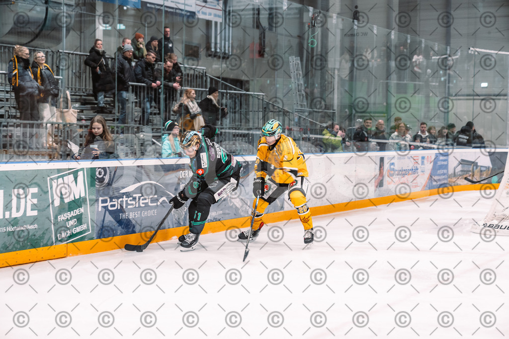 Alligators_vs_Toelz_18_11_2025-51 | Höchstadt Alligators Fotogalerie: Eishockey-Action aus Franken. Professionelle Spielfotos, Portraits & Stadionbilder zum Download. Jetzt entdecken! - Realisiert mit Pictrs.com
