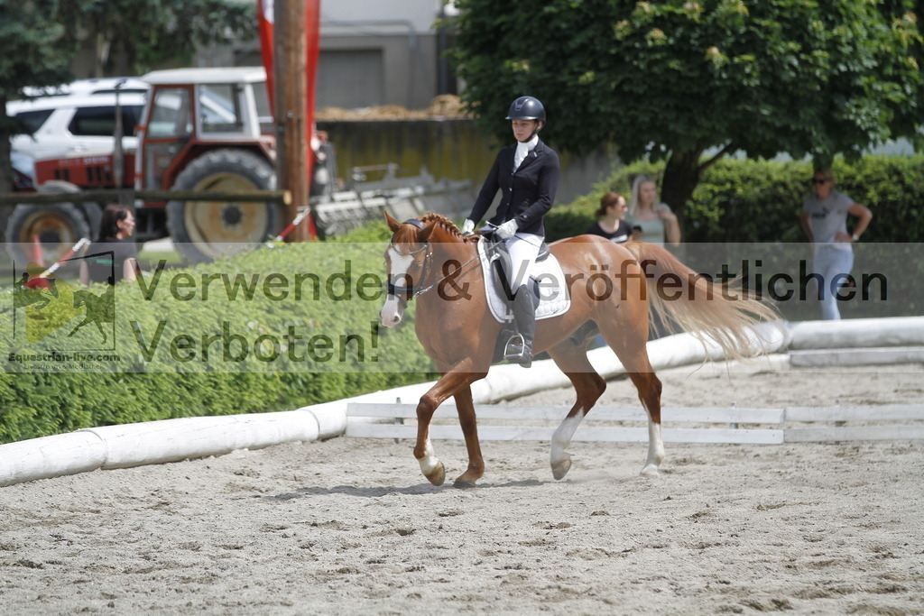 _MG_8671 | equestrian-live-com