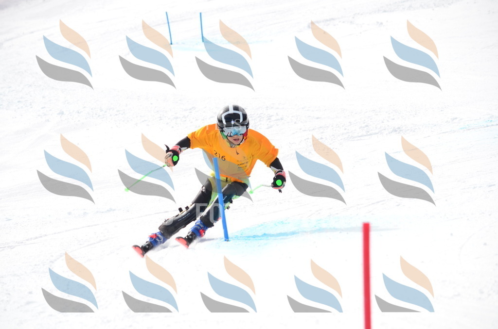 C8209 | holidayphoto