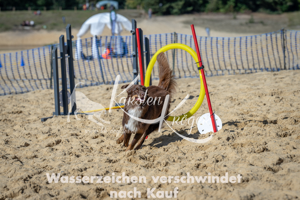 1232_ZZ93300-2 | kk-dogfotos