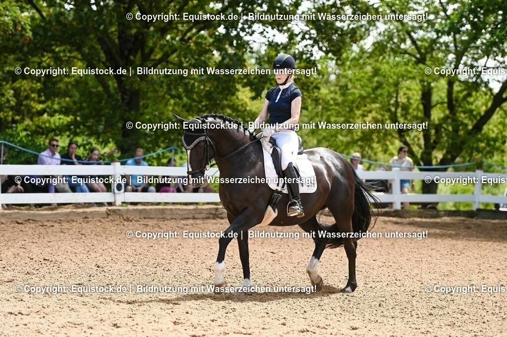 20230716_03_Dressurprfg. Kl.L - Tr._0141 | equistock