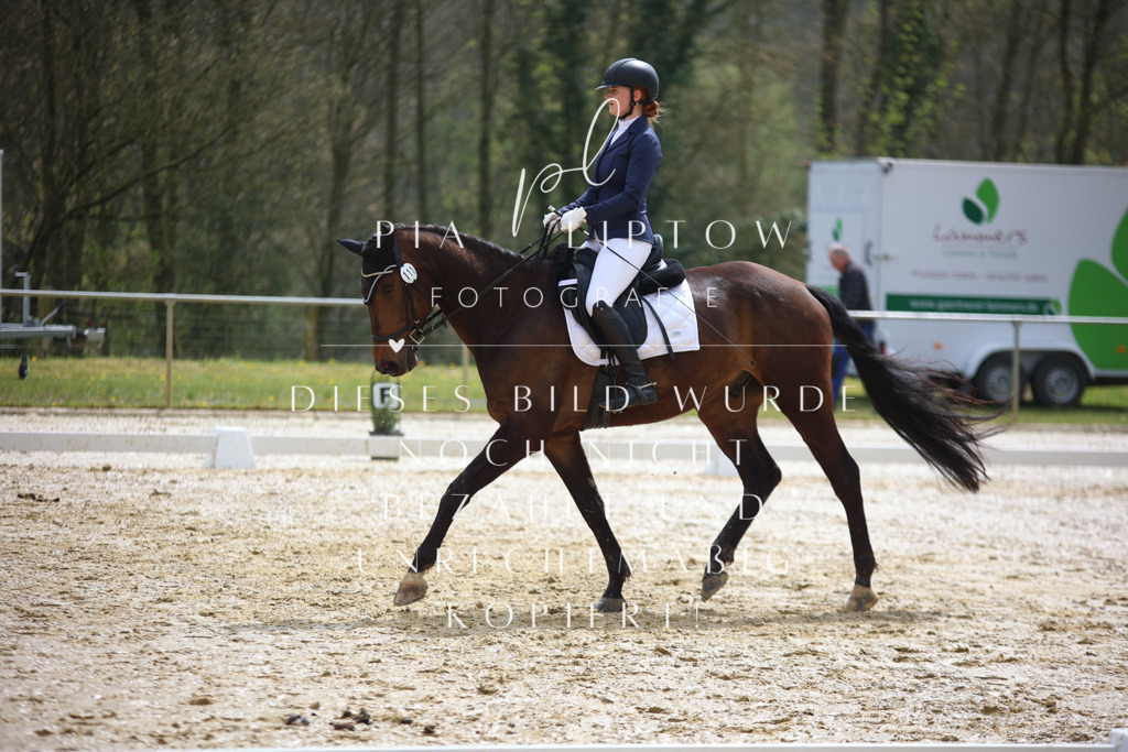 IMGT3158 | pl-fotografie