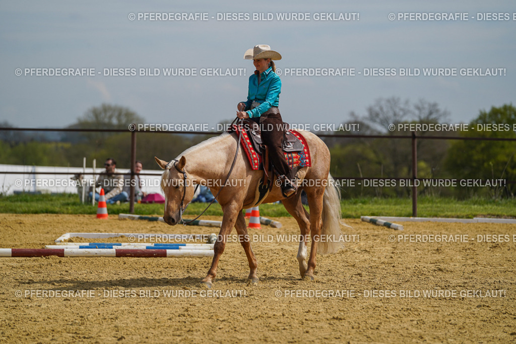 DSC04221 | Pferdegrafie