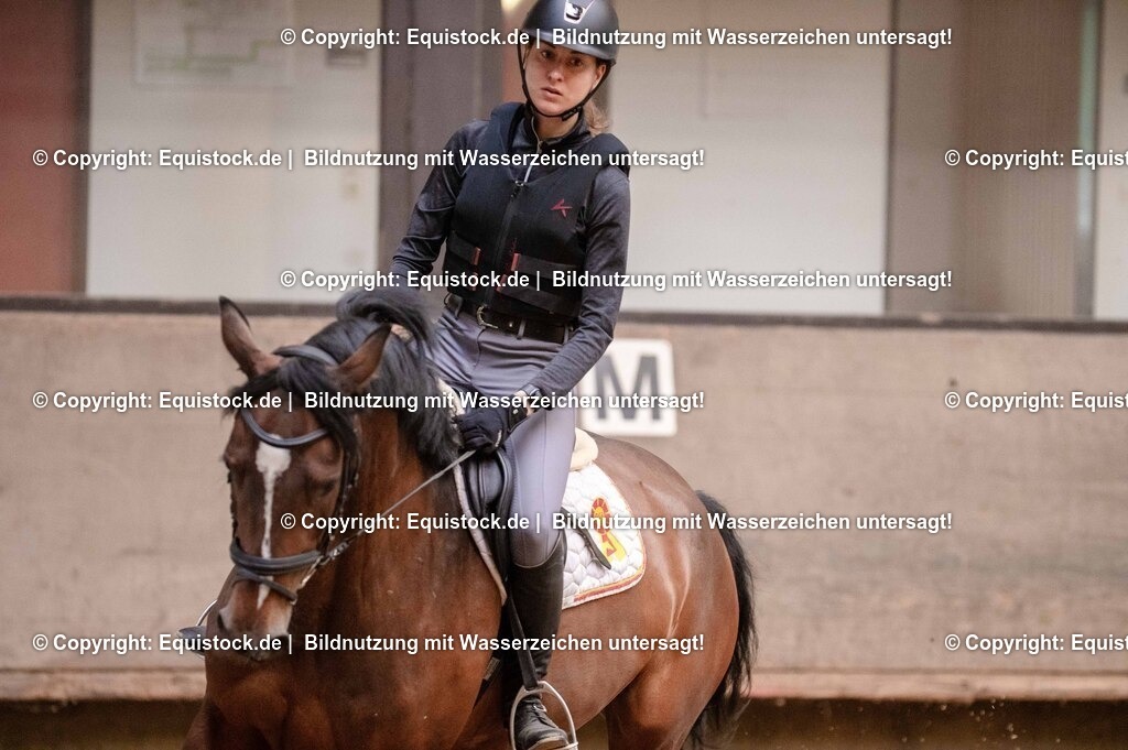 20250725_Vielseitigkeitslehrgang-Marbach_0642 | Foto: Thomas Hartig