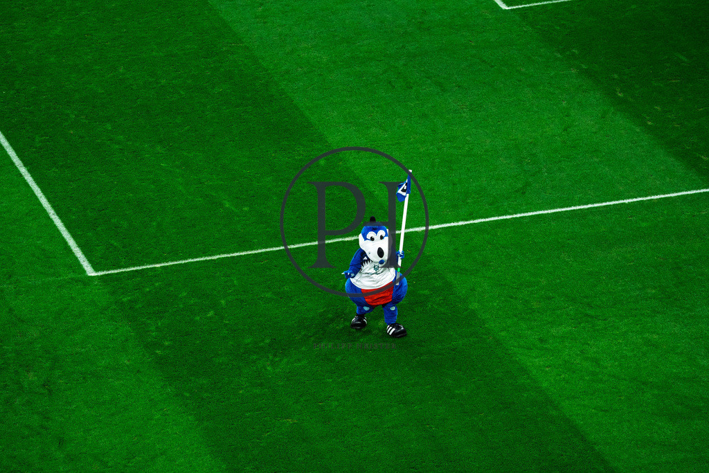 13.Spieltag HSV - Werder Bremen_SC-54 | Philipp-Heist - Realisiert mit Pictrs.com