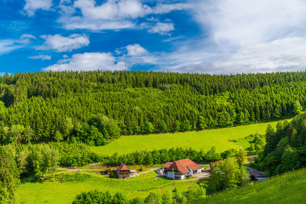 vatertag_2026-67 | <div id="allefotografen-seal-verified-green"></div><script src="https://www.allefotografen.de/956728/seal-verified-green/seal.js" async="async"></script> - Realisiert mit Pictrs.com