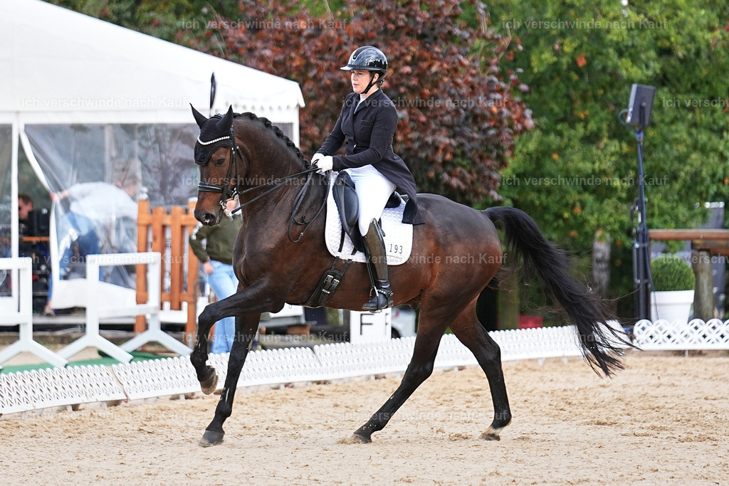 10-193-ST.GEORG SPECIAL -Marixx-3382 | working equitationturnier fotograf videograf stoibphotography marixx film working equitation deutschland reitsport turnierfotografie eventfotografie equestrian events