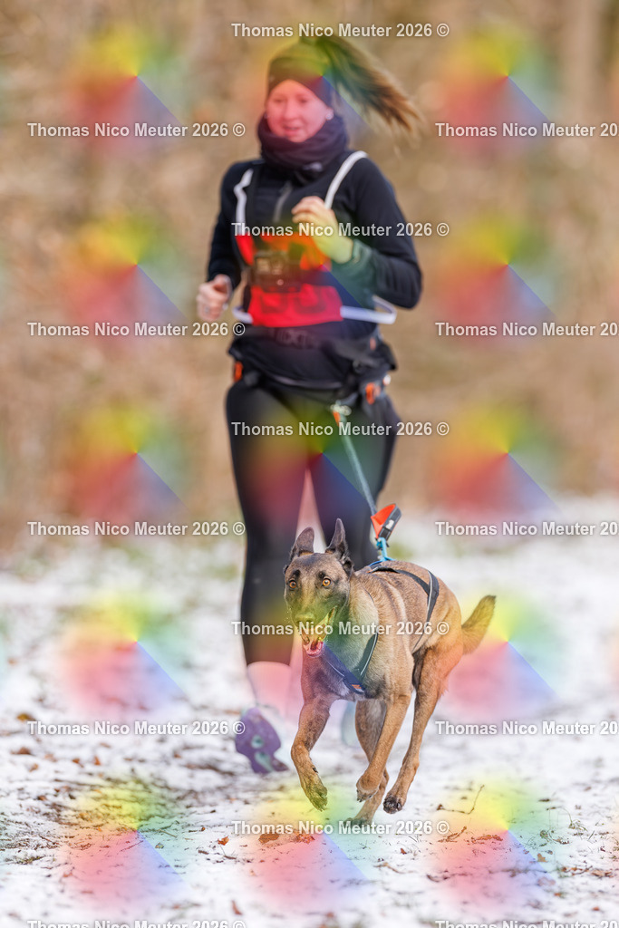 Thomas_Nico_Meuter(C)_223A8605 | Bild von Thomas Nico Meuter - Realisiert mit Pictrs.com