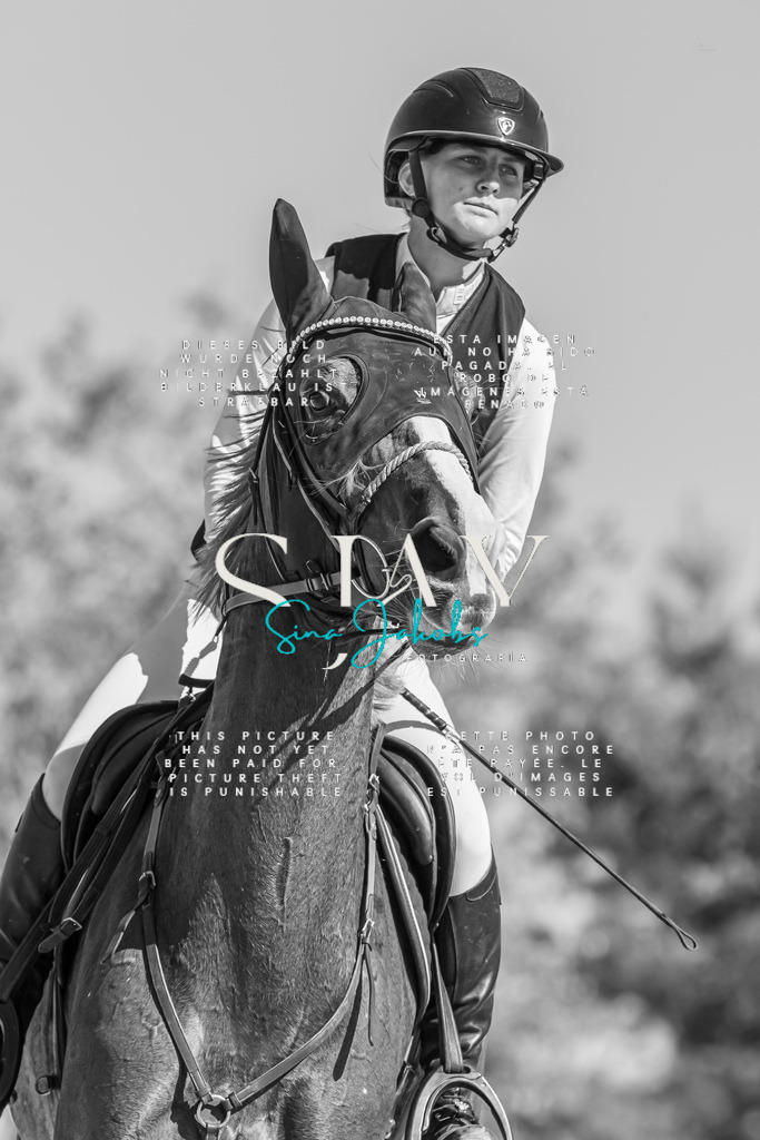 IMG_0959-2 | s-jay-photography - Realisiert mit Pictrs.com