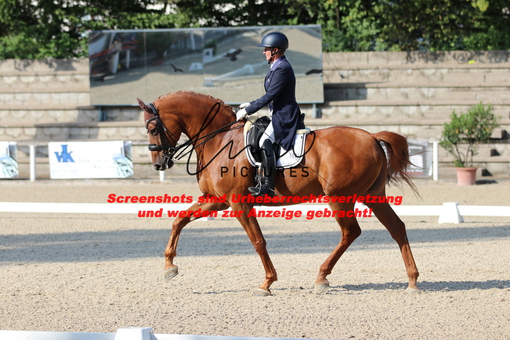 IMG_8929 | lmwpictures - Realisiert mit Pictrs.com