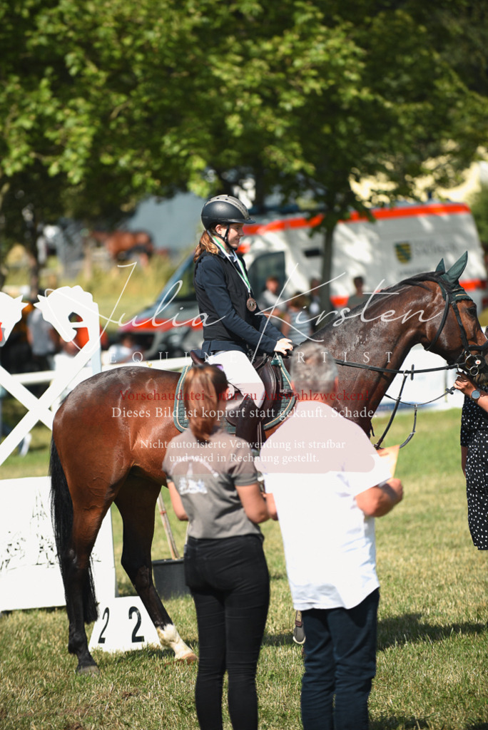 DSC_2611 | Pferde- und Turnierfotografie in Westsachsen. Pferdeportraits, Auftragszeichnungen und intuitive Kunst.
