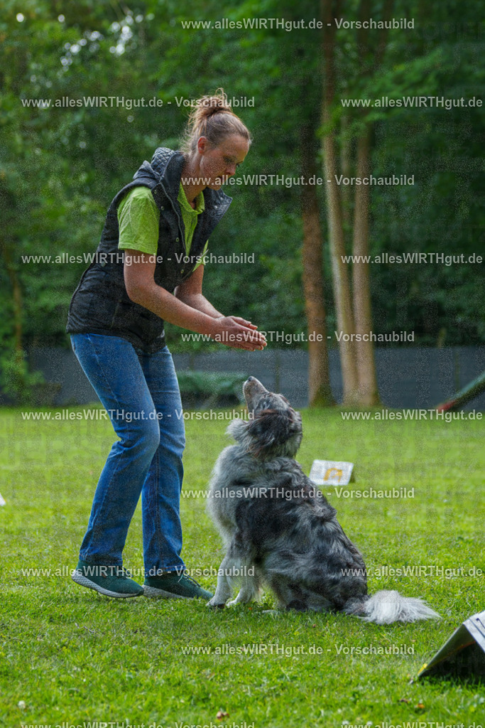 @allesWIRTHgut_Tierfotografie - www.allesWIRTHgut.de - 7R504778 | Professionelle Tierfotografie in Mönchengladbach von Daniel Wirth (allesWIRTHgut). Liebevolle & natürliche Bilder von Hunden & Katzen für unvergessliche Erinnerungen.