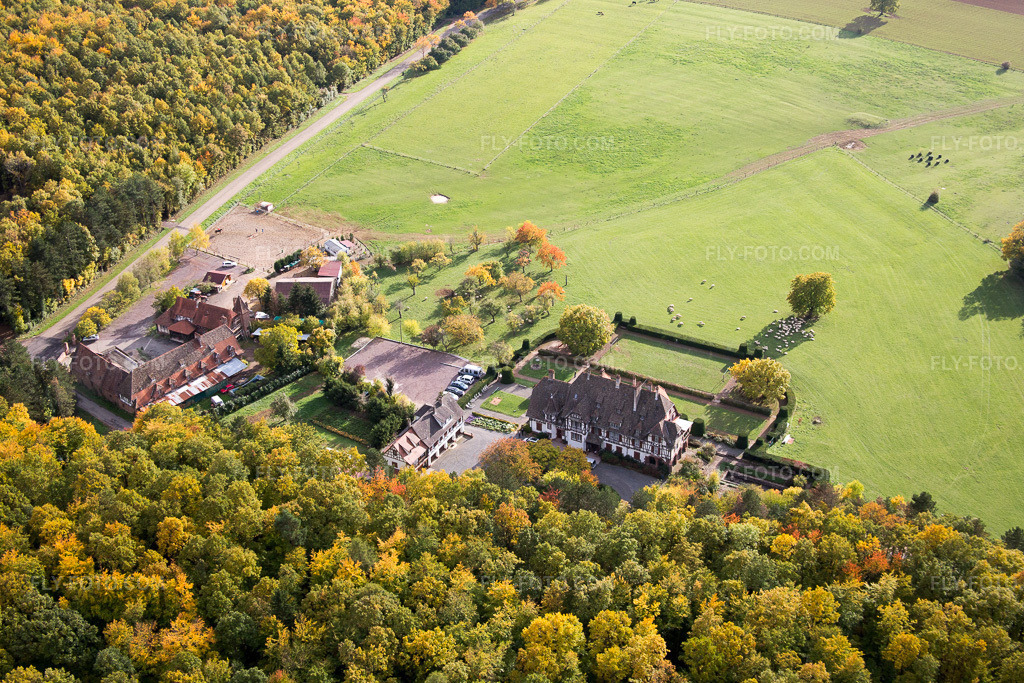 Aerial view: View of the town in Niederbronn-les-Bains in the state Bas-Rhin, France.Photo: IMG_084726.jpg taken on 10/23/2015 by Werner Riehm/FLY-FOTO.comResolution of the original: 5472 x 3648 px
