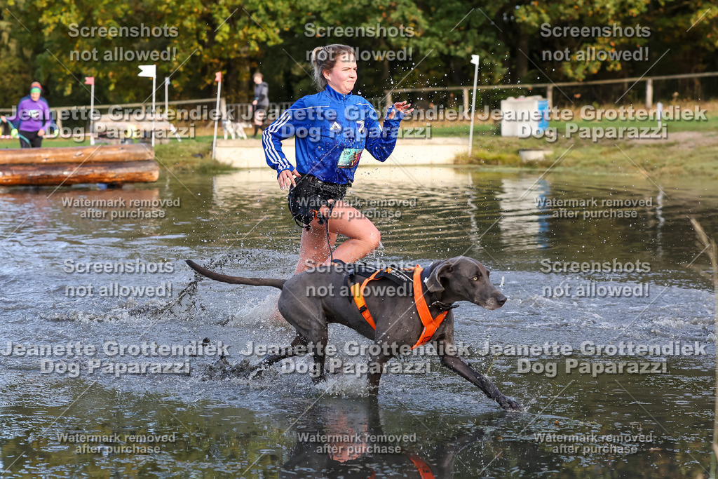 Dog Paparazzi - Strongdog 10-25-8334 | Dog Paparazzi Jeanette Grottendiek Fotografie & Videografie - Realisiert mit Pictrs.com