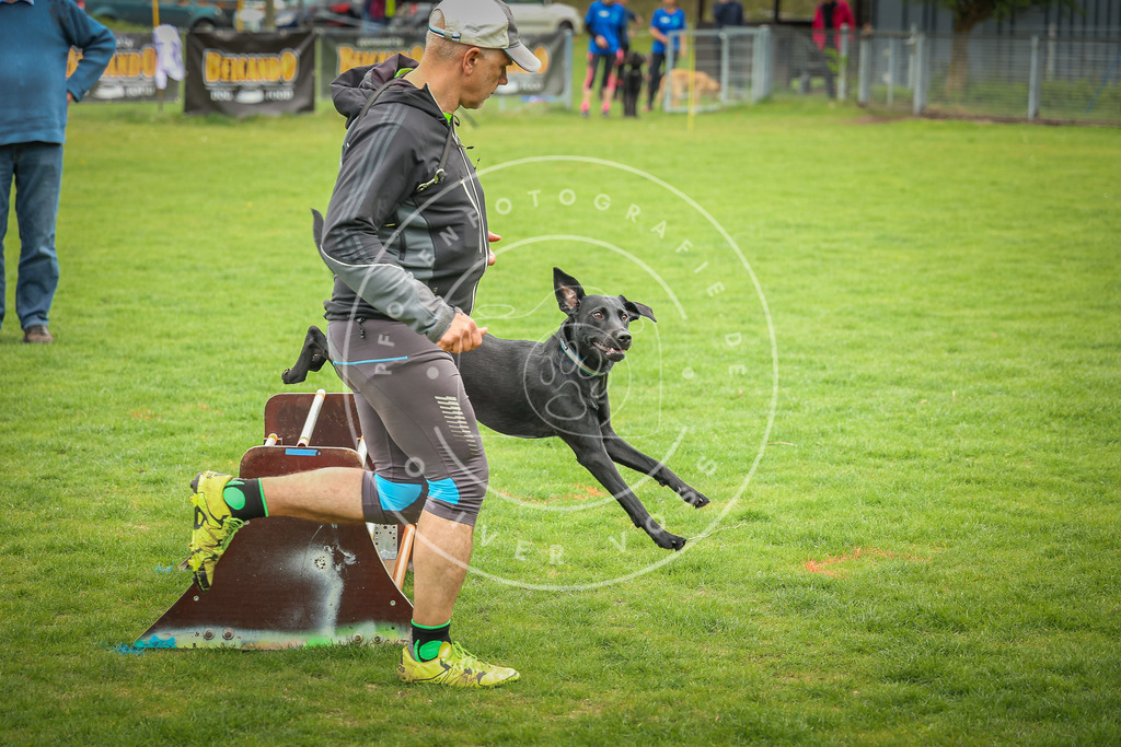 Pfotenfotografie_0L8A9554 | Hundefotografie, Tierfotograf, Pfotenfotografie, Fotoshooting Hund, Hunde Portrait, Hundesport, Hundeportraits, Heideshooting, Hunde, Sportfotograf, Hundefotograf, Turnierhundsport, THS,  - Realisiert mit Pictrs.com