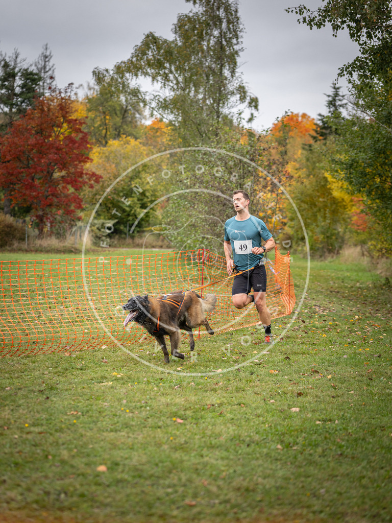 Pfotenfotografie_DV3A2468 | Hundefotografie, Tierfotograf, Pfotenfotografie, Fotoshooting Hund, Hunde Portrait, Hundesport, Hundeportraits, Heideshooting, Hunde, Sportfotograf, Hundefotograf, Turnierhundsport, THS,  - Realisiert mit Pictrs.com