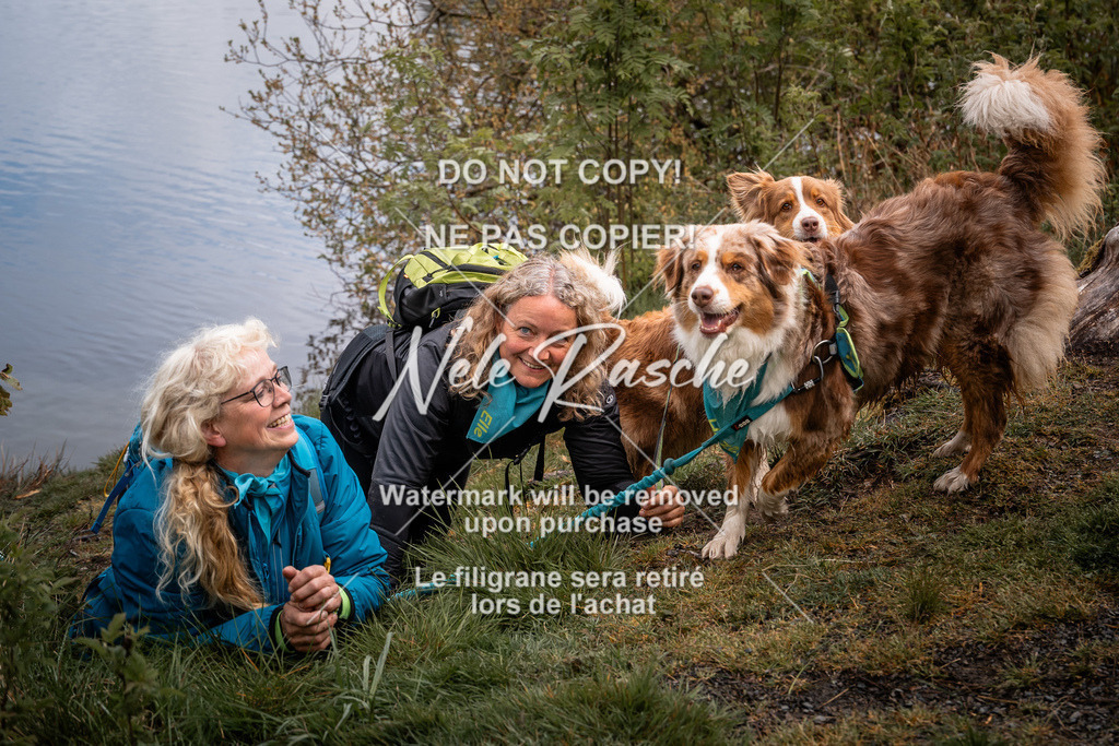 nelerasche_SoUnterwegs_268 | nelerasche