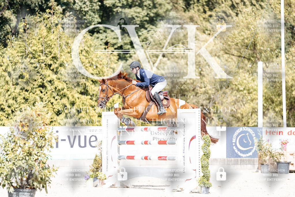 CK905364 | Turnierfotografie Pferdefotografie Trier Rheinland-Pfalz Pferdesport Reitsport Tierfotografie Sportfotografie Pferdevideo Pferdevideografie Equestrianvideography equestrianphotography  - Realisiert mit Pictrs.com