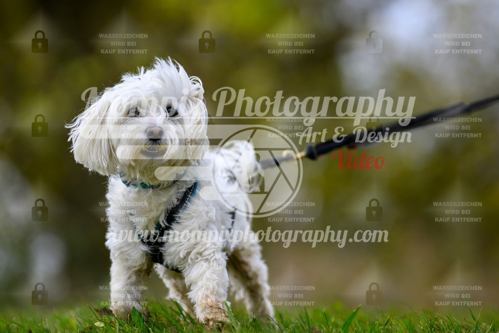 MompixPhotography_2OATB_SO_Run-82 | PayLife