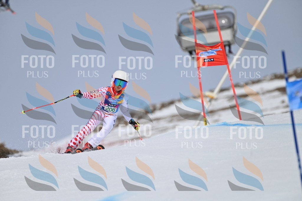 BGV_3966 | holidayphoto