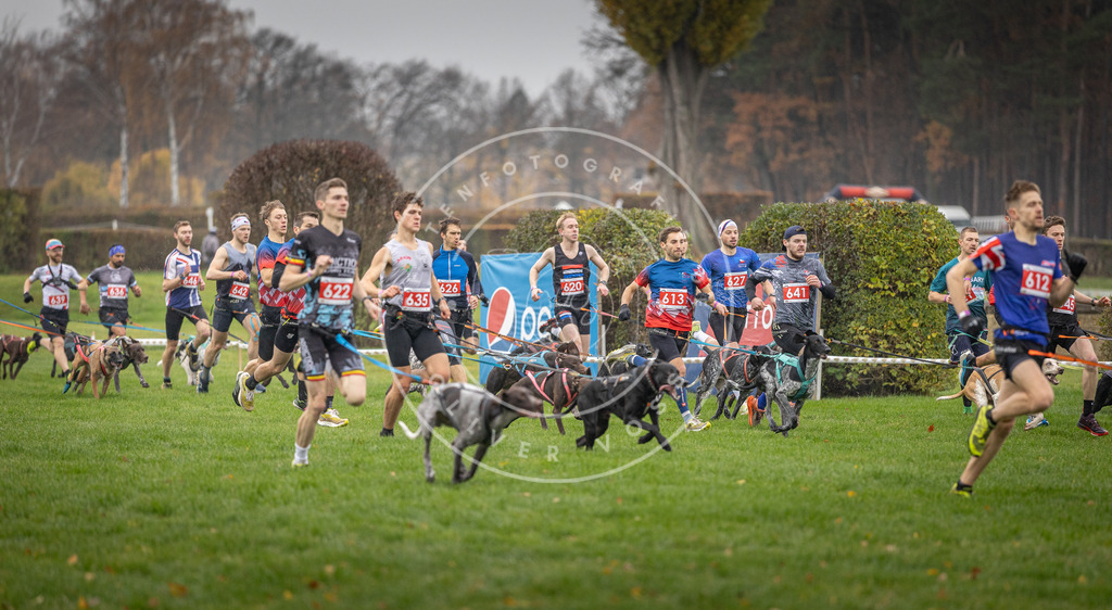 CaniXpix_DV3A9455 | Hundefotografie, Tierfotograf, Pfotenfotografie, Fotoshooting Hund, Hunde Portrait, Hundesport, Hundeportraits, Heideshooting, Hunde, Sportfotograf, Hundefotograf, Turnierhundsport, THS,  - Realisiert mit Pictrs.com