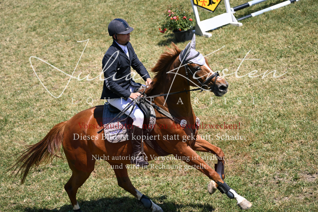 DSC_9988 | Pferde- und Turnierfotografie in Westsachsen. Pferdeportraits, Auftragszeichnungen und intuitive Kunst.