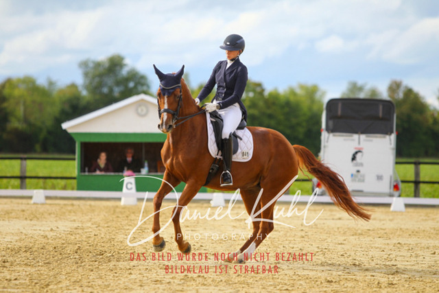 DKP44574 | Turniersportfotografie; Pferdefotografie; Dressurfotografie