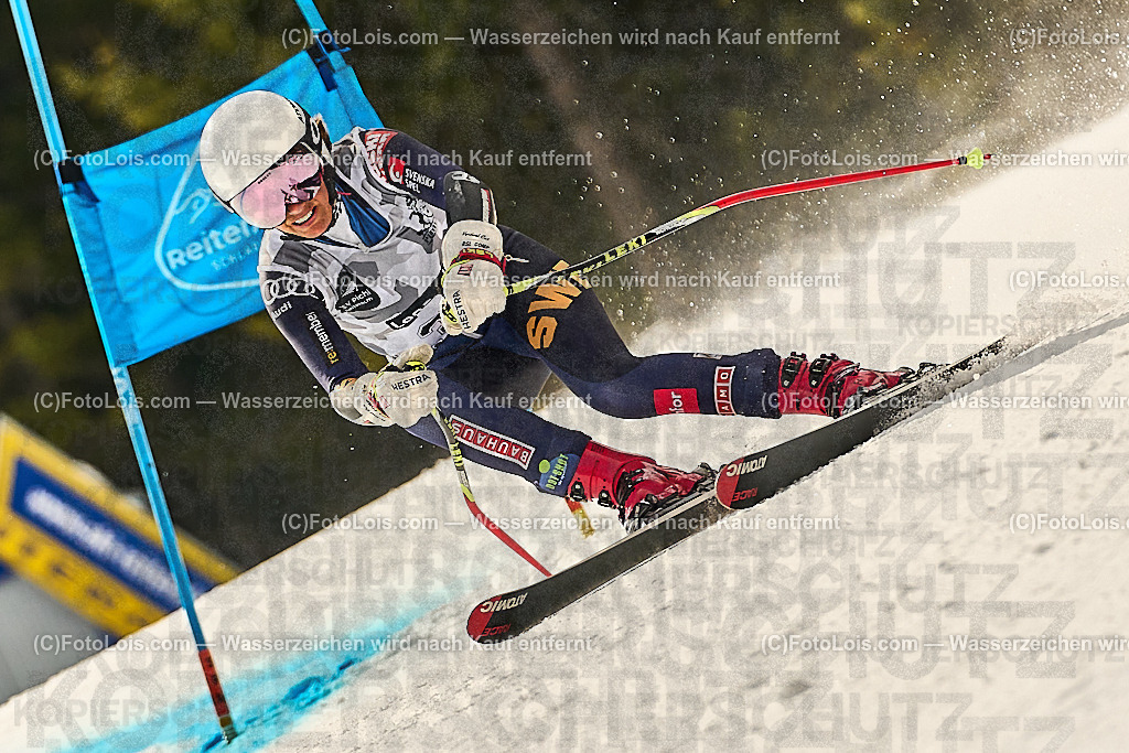 _WWO3642_MASTERS-WM_Reiteralm_CD-SG_Ortner Helena_ORTNER Helena | FISWORLD CHAMPIONSHIPSMASTERS ALPINE SKIING, 23. – 28. MÄRZ 2026 - REITERALM | STMK | AUT.   Veranstaltet vom Masters-Referat des Deutschen Skiverbandes (DSV). Durchführende Organisation: WSV Pichl-Reiteralm, unterstütutzt von den Bergbahnen REITERALM bei Schladming und SKI AUSTRIA.                            Disziplinen:  Super-G, GiantSlalom, Slalom.                                                 Kategorien:  A (Herrn 30-59 Jahre), B (Herrn ab 60 Jahre), C (Damen 30-59 Jahre), D (Damen ab 60 Jahre).                Rennstrecken:   Gasselhöhe und Muldenliftpiste auf der Reiteralm.