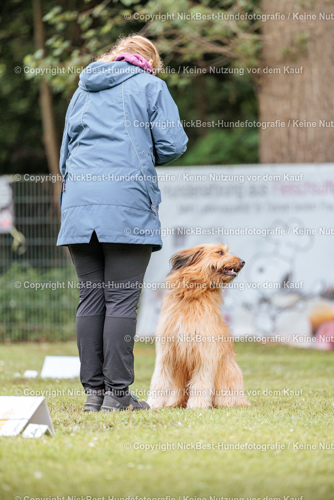 RO-Blumenthal-2026-Nickbest-Hundefotografie-2560 | Dein Hund! Dein Moment! Deine Erinnerungen! Hundefotografie in Bremen Blumenthal. Ich fange die besonderen Momente deines Vierbeiners ein – ob Indoor mit Blitzanlage oder in der freien Natur. Sicher dir dein Moment und dein Termin für eure Erinnerungen.