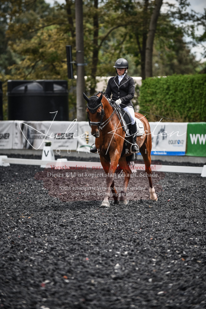 DSC_4977 | Pferde- und Turnierfotografie in Westsachsen. Pferdeportraits, Auftragszeichnungen und intuitive Kunst.