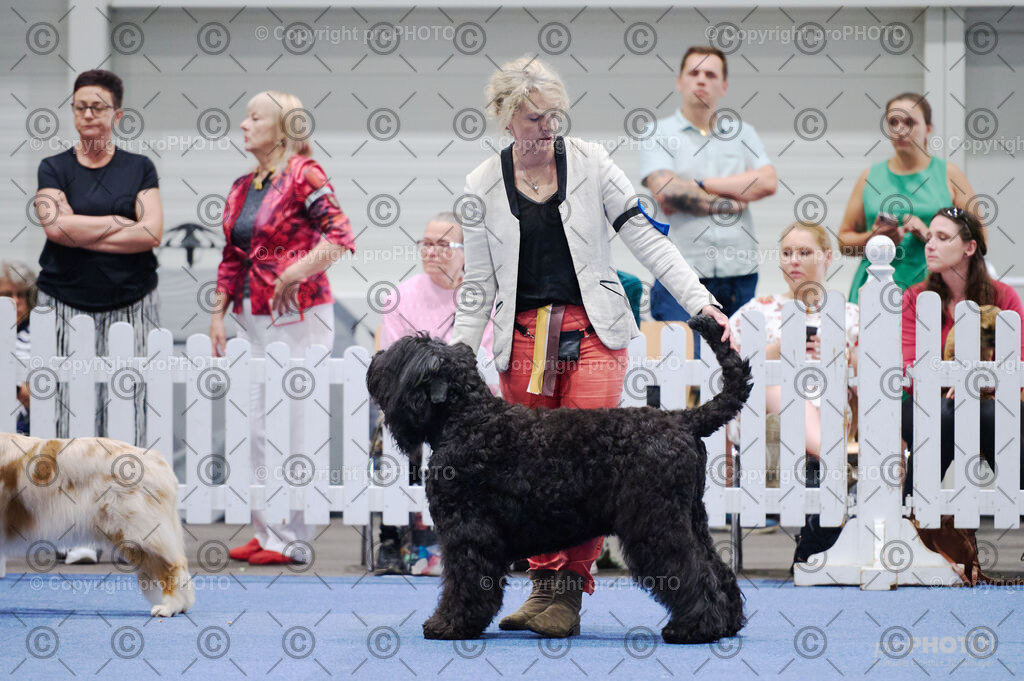 202406_ÖKV-IHA-Tulln24_DSC_2781 | proPHOTO - Realisiert mit Pictrs.com