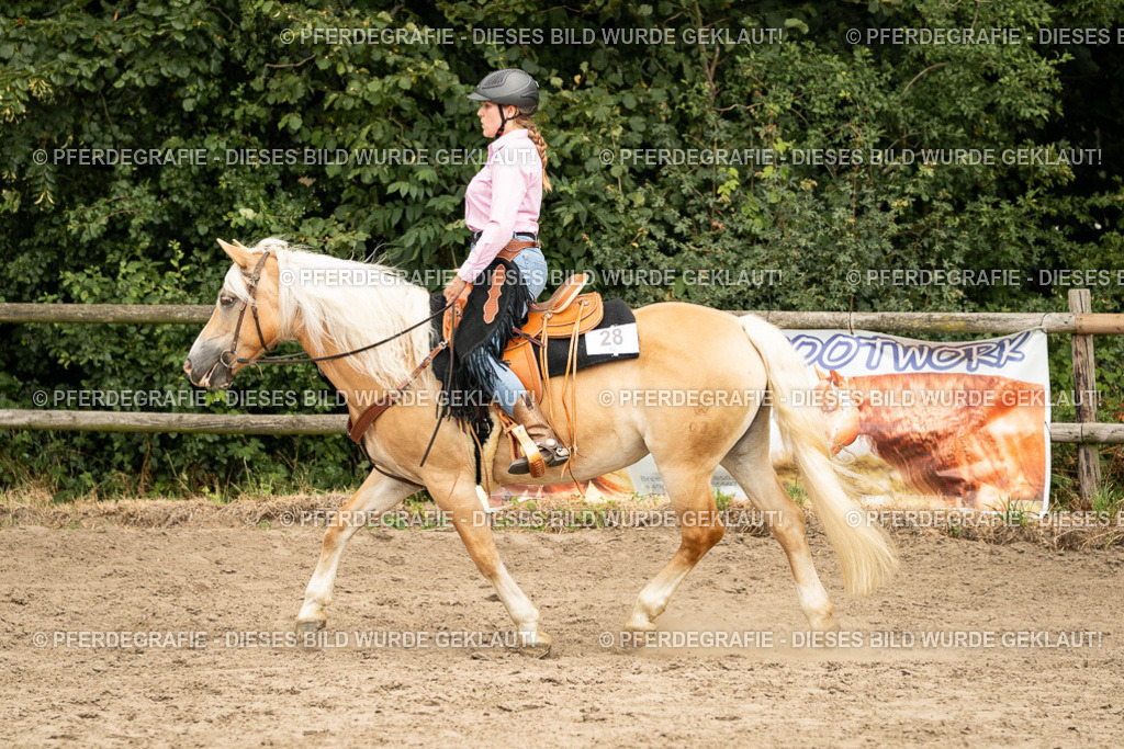 DSC00717 | Pferdegrafie