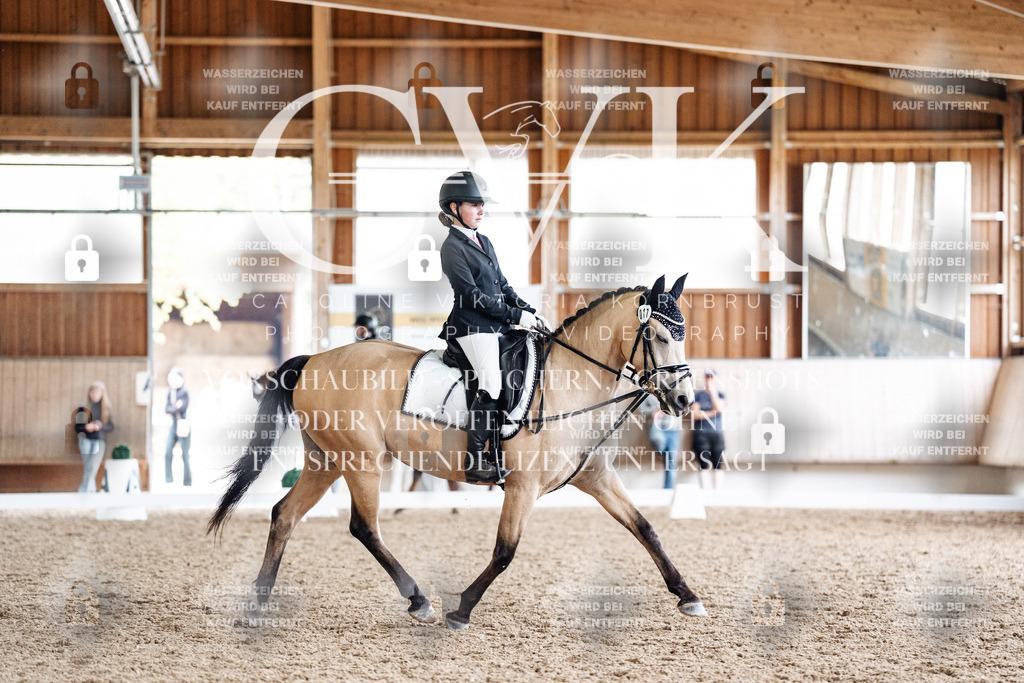 CK901561 | Turnierfotografie Pferdefotografie Trier Rheinland-Pfalz Pferdesport Reitsport Tierfotografie Sportfotografie Pferdevideo Pferdevideografie Equestrianvideography equestrianphotography  - Realisiert mit Pictrs.com