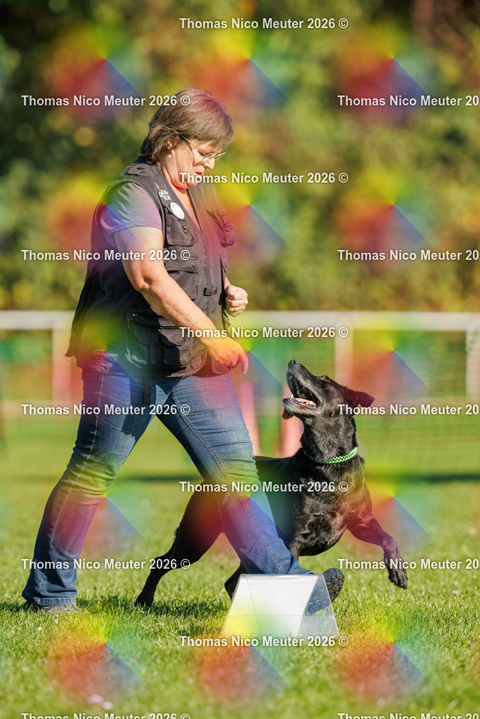 Thomas_Nico_Meuter(C)_04. Oktober 2026_223A1262 | Bild von Thomas Nico Meuter - Realisiert mit Pictrs.com
