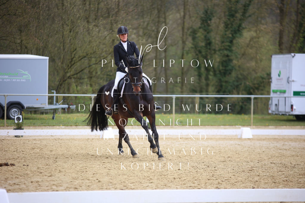 IMGT7115 | pl-fotografie