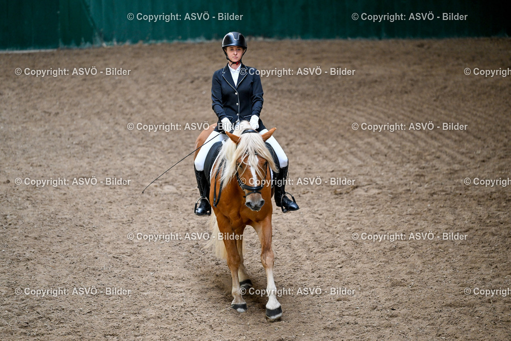 ASVÖ_ Reiten Bezirksmeisterschaft_ 24.08.2025-2 | 24.08.2025, AUT, ASVÖ, Reiten Bezirksmeisterschaft 2025Dressur und Springreiten©fodo.media / Harald Dostal - Realisiert mit Pictrs.com