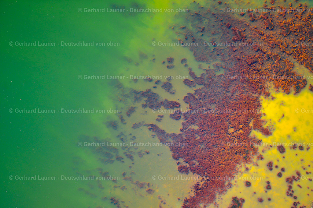 3636937 | Wildschweinteich bei Senftenberg