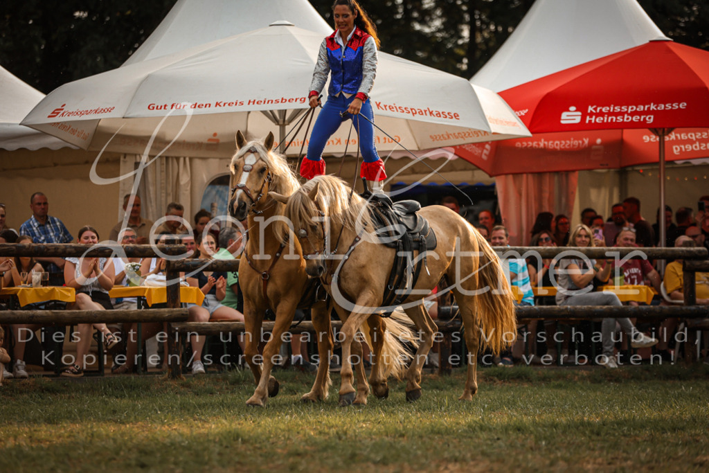 SaShow00018 | Leoni Ertmer Photography - Realisiert mit Pictrs.com