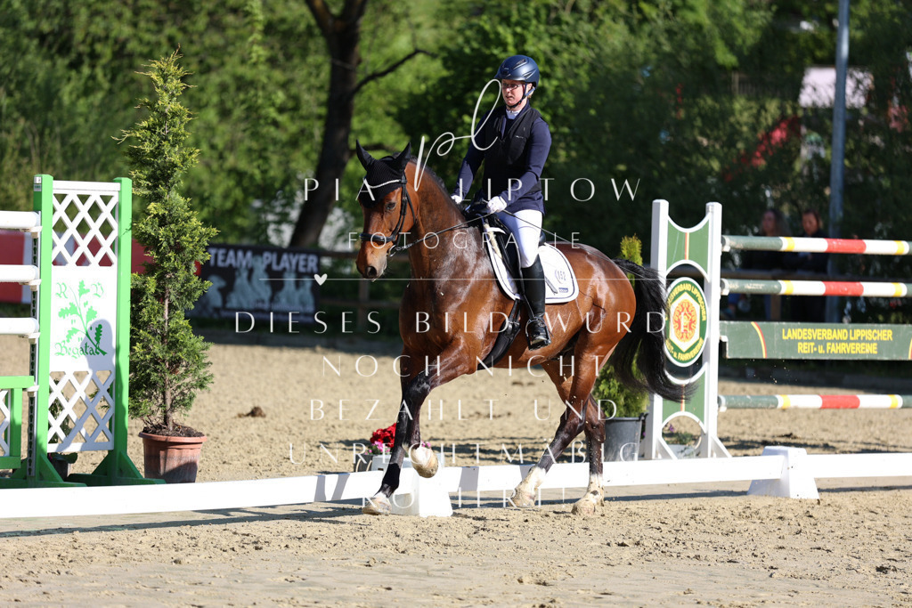 IMGT2819 | pl-fotografie