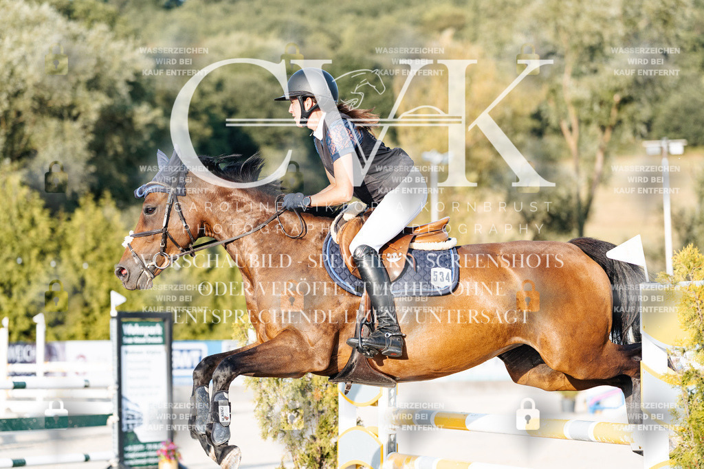 CK900740 | Turnierfotografie Pferdefotografie Trier Rheinland-Pfalz Pferdesport Reitsport Tierfotografie Sportfotografie Pferdevideo Pferdevideografie Equestrianvideography equestrianphotography  - Realisiert mit Pictrs.com