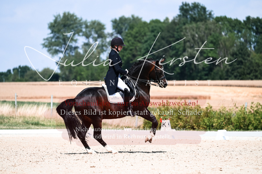 DSC_2967 | Pferde- und Turnierfotografie in Westsachsen. Pferdeportraits, Auftragszeichnungen und intuitive Kunst.