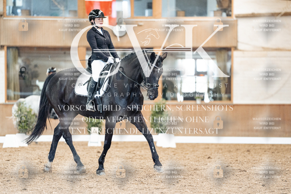 CK909498 | Turnierfotografie Pferdefotografie Trier Rheinland-Pfalz Pferdesport Reitsport Tierfotografie Sportfotografie Pferdevideo Pferdevideografie Equestrianvideography equestrianphotography  - Realisiert mit Pictrs.com