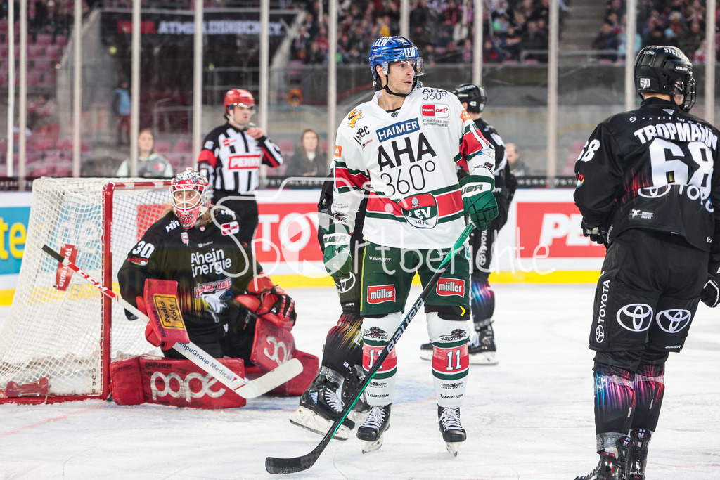 Kölner Haie - Augsburger Panther | Adam PAYERL (AEV #11) in Aktion