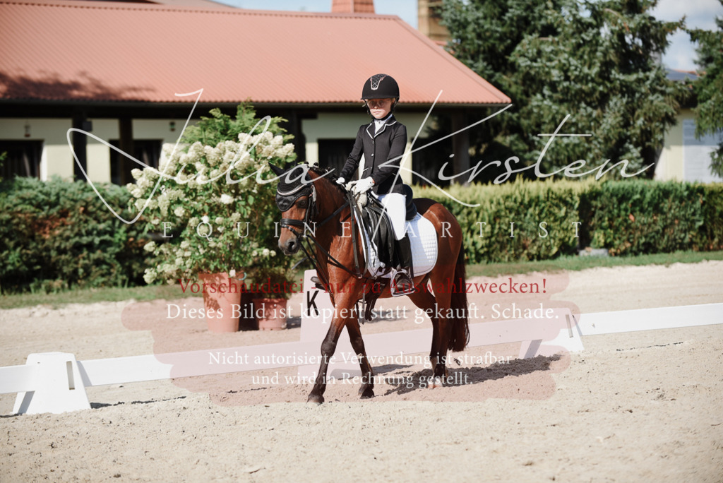 DSC_0105 | Pferde- und Turnierfotografie in Westsachsen. Pferdeportraits, Auftragszeichnungen und intuitive Kunst.