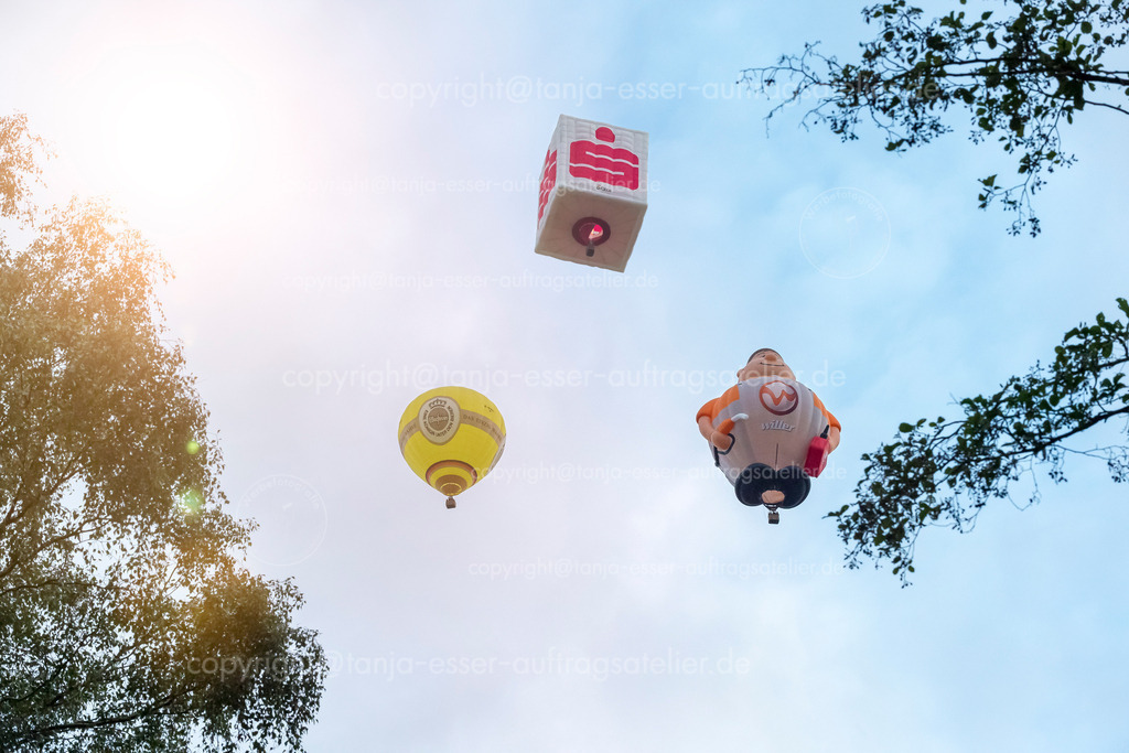 137 Ballons ueber dem Wald 6 | Warsteiner Internationale Montgolfiade ist die Veranstaltung mit Heißluftballons. Drei verschiedene Formen über dem Wald.